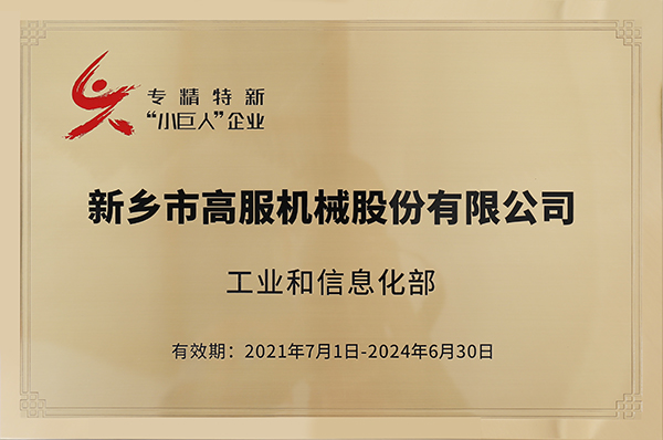 2020年，入選“國家級專精特新小巨人”企業